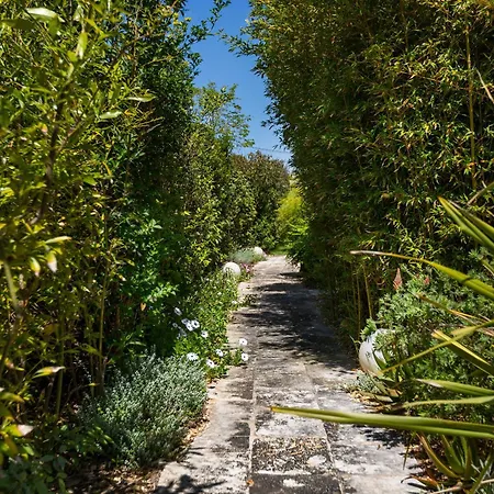 Flora Jungle Retreat By Perle Di Puglia *